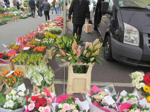 This is the time of year when flowers and plants are popular market purchases. Both the market's cut flower and living plants, shrubs, and trees looked very healthy.