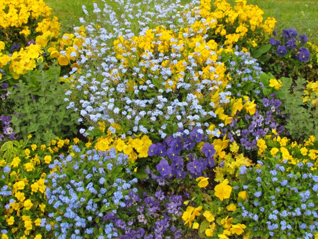 More flowers from the flower gardens on the castle grounds.