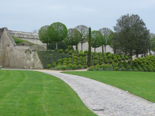 The property contains a significant number of grape vines that were planted in the recent past.