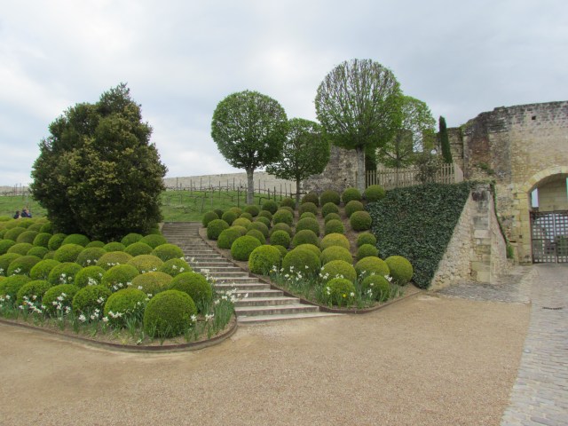 During the past few years, the grounds have been replanted with green oak, boxwoods, Cyprus trees and muscat vines.