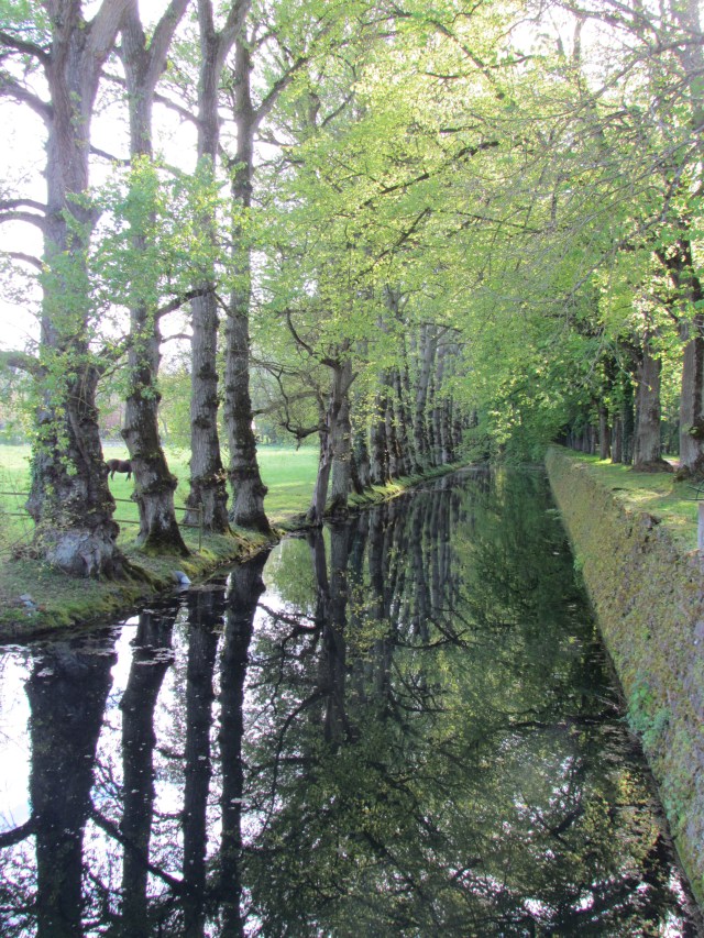 After leaving the parking lot, you are surrounded by beautiful wooded areas and canals that look like this one.
