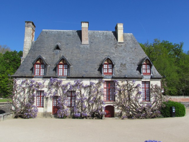 Just on the side of Diane;s Garden is this cute little house whose front side is covered by beautiful blooming wisteria. This house was the home of the chancellery, the estate steward.