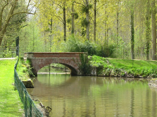 There was a lake at one side of the property and it was inhabited by black and swans and a variety of ducks.