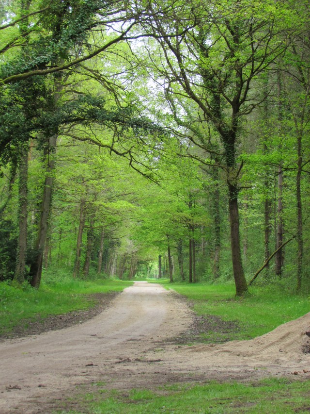 We also got to take a drive in the woods that are connected to the property. They took us out in little 8-passenger golf carts. At one point a woman spotted something in the woods and yelled and everybody got out and looked and talked about it a lot. Then everybody got back on the golfcart and the driver said, "Oh that's right, you don't speak French so you don't know what she saw!" And we still don't.