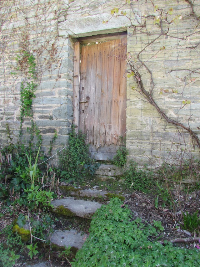 We really liked this little door and the tiny steps up to it.