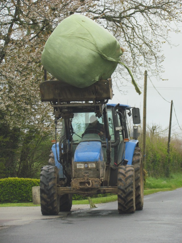 We saw lots of plastic-covered bales of hay(?) like this one in the fields. Some of them were even pink and blue. This one looked a little precarious on the shovel of this guy's truck.