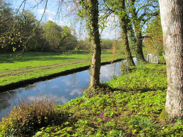Back behind the back lawn is a moat that runs down behind all of the properties along here.