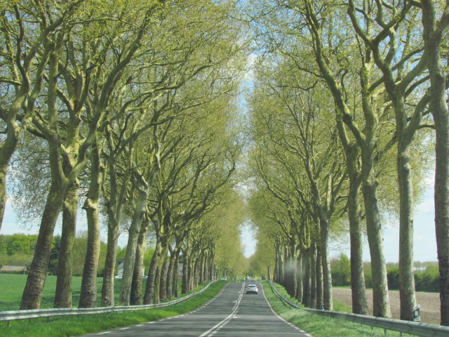 We just loved driving our little red Fiat on these country roads.