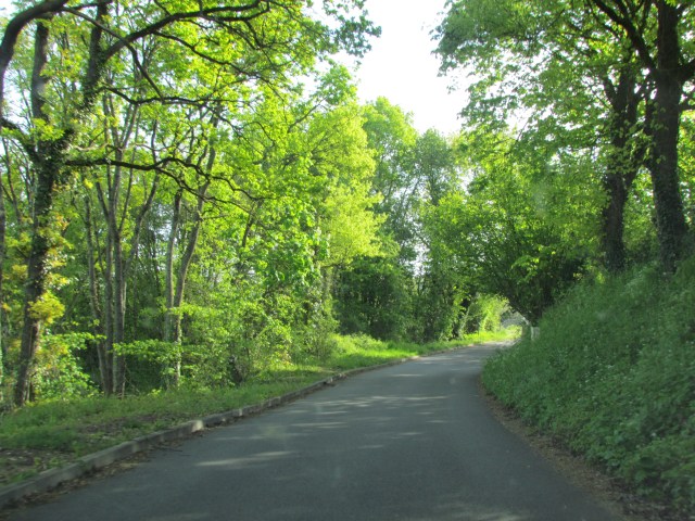 Another beautiful road!