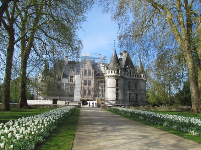 Here's the chateau. the renovation scaffolding is visible from here. It's really a very pretty chateau.