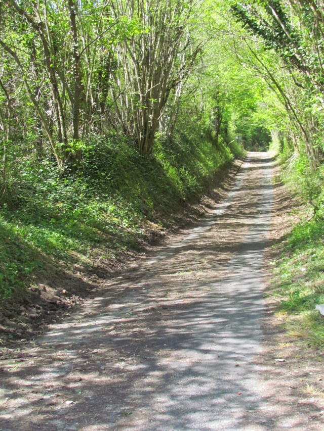 We really wanted to drive up this little side road.