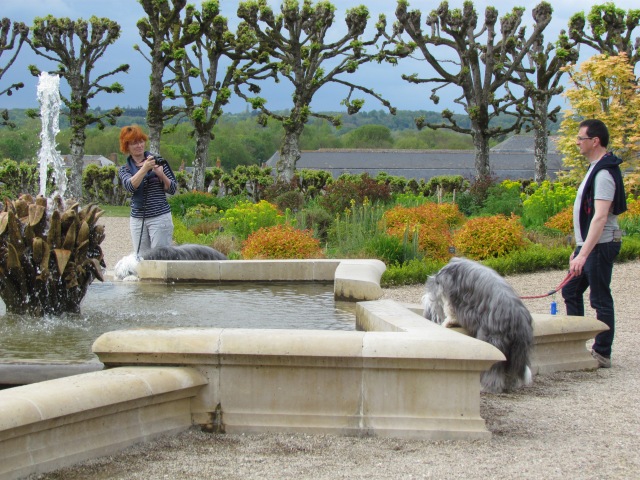 On one of the upper levels is the Sun Garden, actually 2 separate gardens with slightly different themes. There are fountains in the middle and these dogs took advantage to get a quick drink.